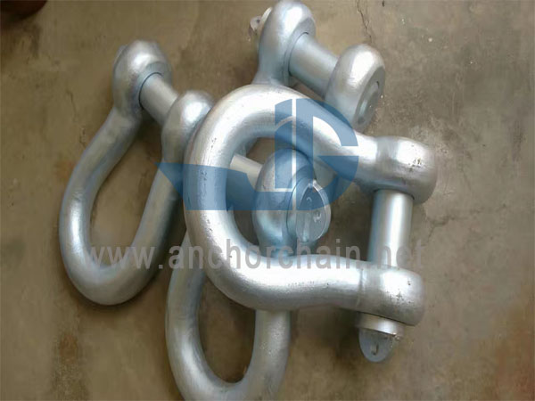 BS3032 Bow Shackle