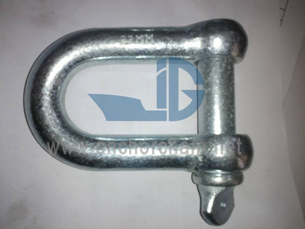 ປະເພດເອີຣົບ Dee Shackle