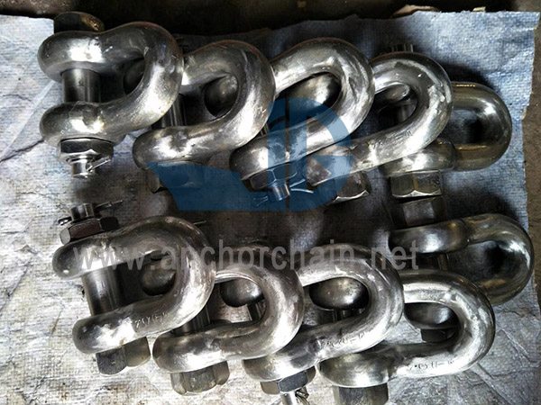 ສະຫະລັດ Secutity Dee Shackles G2150
